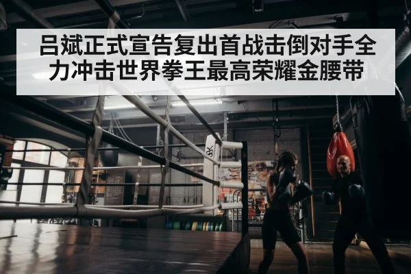 boxer training